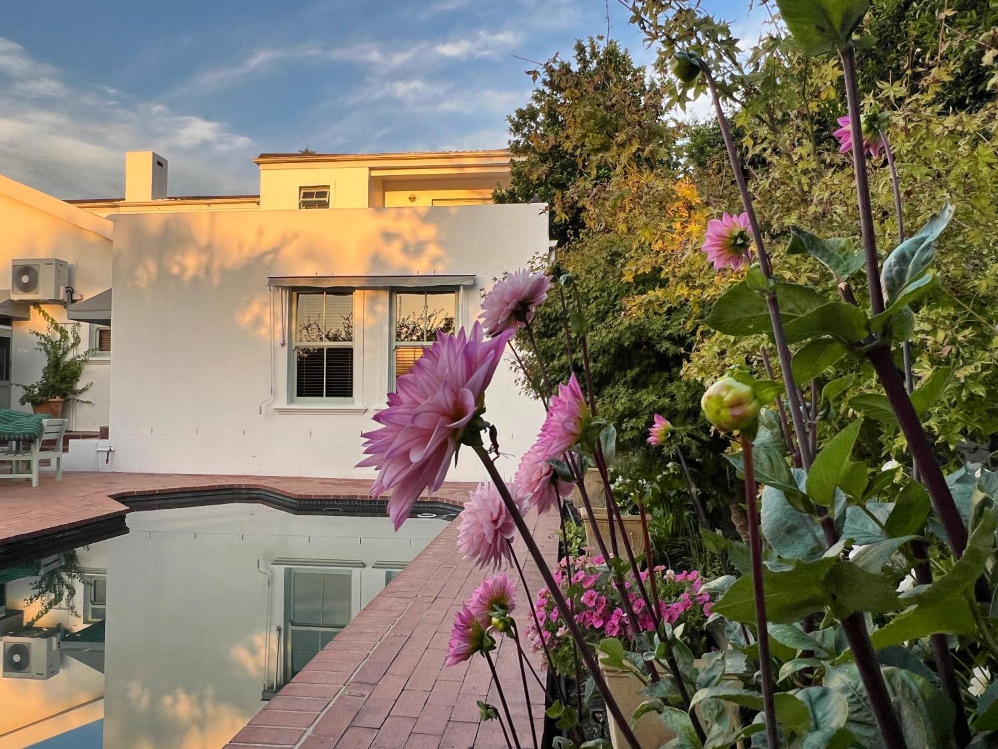 Bed and Breakfast Penelope's Stellenbosch Exterior foto