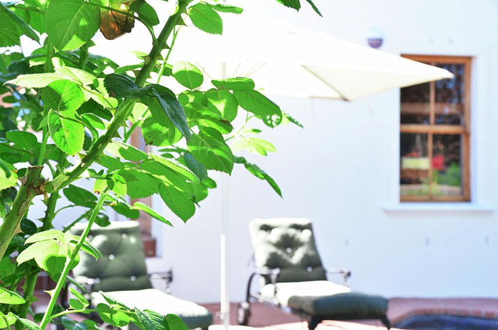 Bed and Breakfast Penelope's Stellenbosch Exterior foto